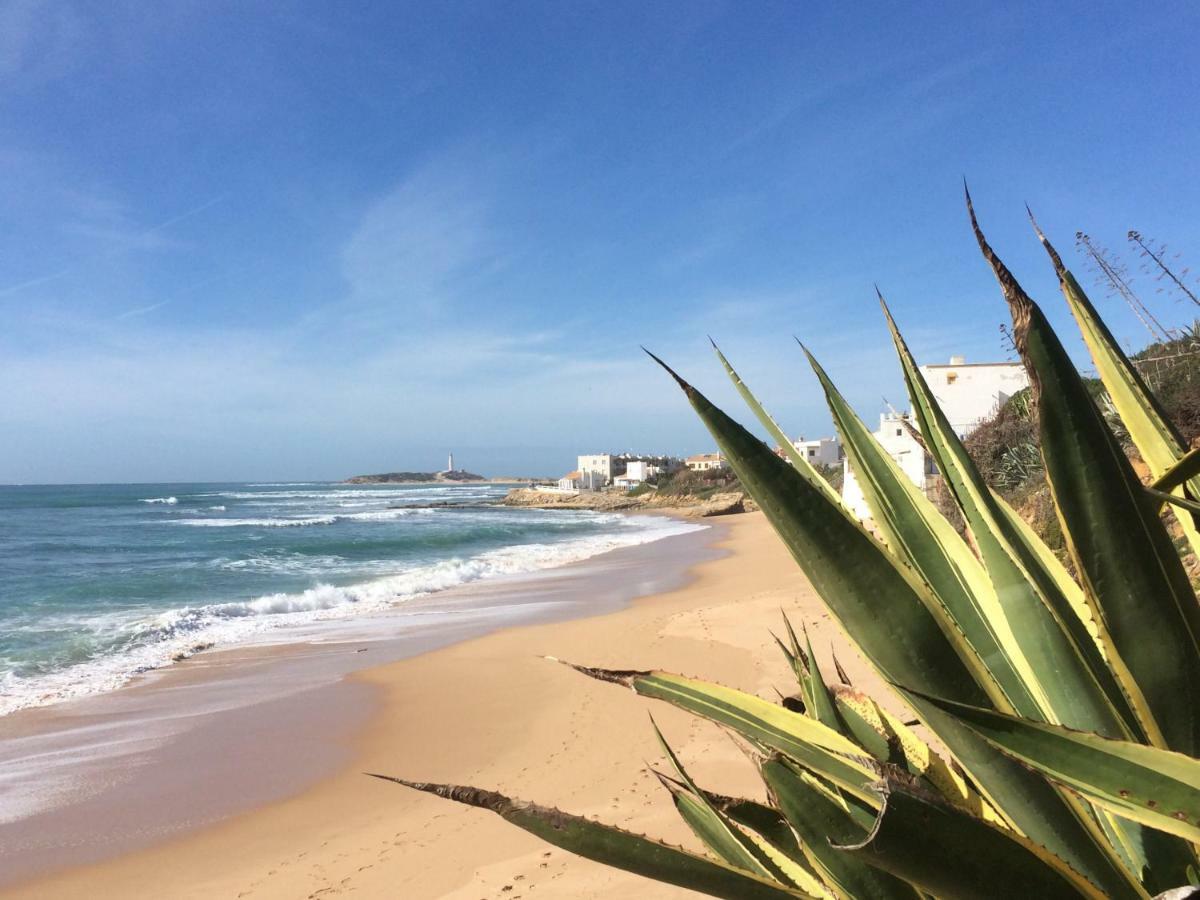 Apartament Atico Atlantico Con Aparcamiento Privado Vejer de la Frontera Zewnętrze zdjęcie